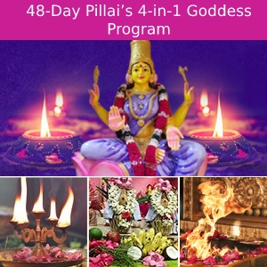 48-दिन डॉ. पिल्लै का 4-इन-1 देवी कार्यक्रम पैकेज 