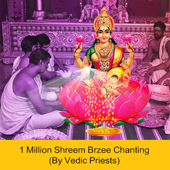 48-Day Shreem Brzee Advanced Package