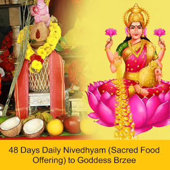 48-Day Shreem Brzee Essential Package