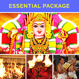 Dasa Maha Vidya Essential Package