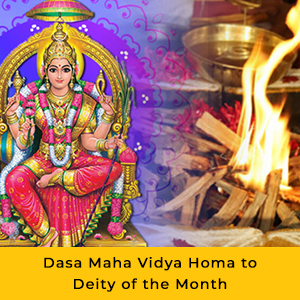 Dasa Maha Vidya Essential Package