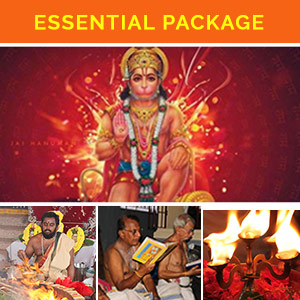 Hanuman Yearlong Essential Package