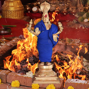 Individual Chandi Homa
