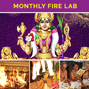 Monthly Fire Lab Package