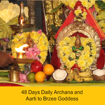 48-Day Pillai’s 5-in-1 Goddess Program (Individual Participation)