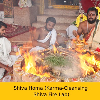 Advanced Rituals for Sani Pradosham