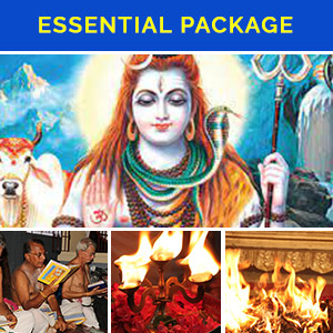 Narasimha Jayanthi Basic Package