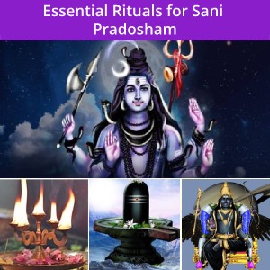 Essential Rituals for Sani Pradosham