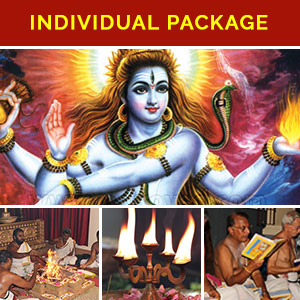 Individual Monthly Fire Lab Package- Shiva