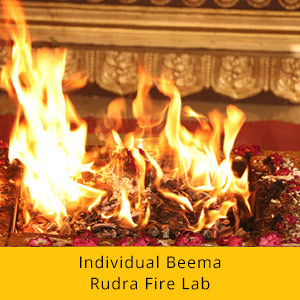 Individual Monthly Fire Lab Package- Shiva