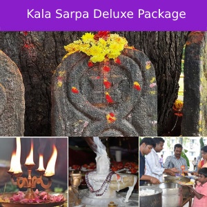Kala Sarpa Deluxe Package