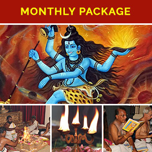 Monthly Fire Lab Package- Shiva