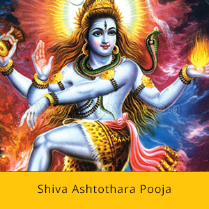 Monthly Fire Lab Package- Shiva