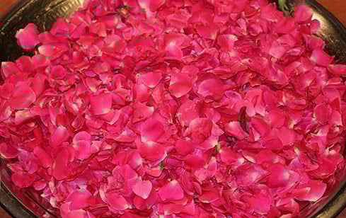 Archana to Medha Dakshinamurthy