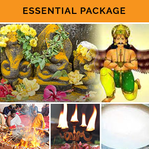 Naga Chaturthi & Garuda Panchami Essential Package