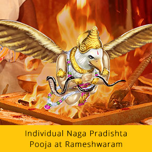 Naga Chaturthi & Garuda Panchami Advanced Plus Package