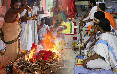 Uragaraja Maha Mantra Homa With Sarpa Suktam Chanting