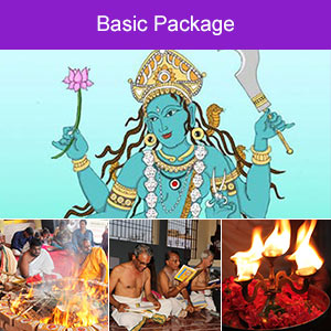 Wealth, Success & Wish-Fulfillment Basic Package