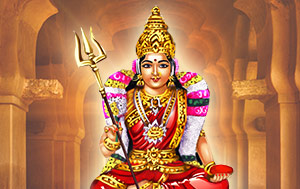 Archana to Saptarisheeswarar at Saptarisheeswarar