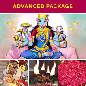 Ashada Navratri Advanced Packagee