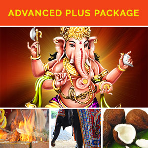 Advanced Plus Package