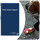 Pitru Dosha Report
