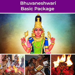  Bhuvaneshwari Basic Package