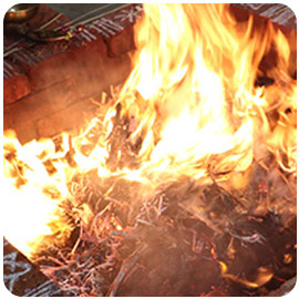 Individual Pitru Suktha Japam and Pitru Preethi Homa by Nambudri Priests in Kerala