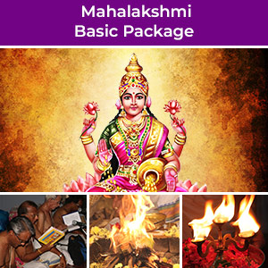 Mahalakshmi Basic Wealth Package 