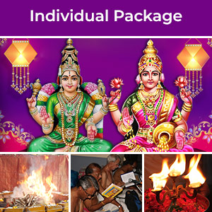 Power & Wealth Individual Package