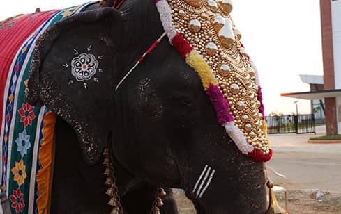 Sponsoring an Elephant Procession Accompanied