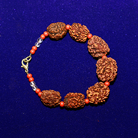3 Face Big Rudraksha with Coral and Crystal Bracelet