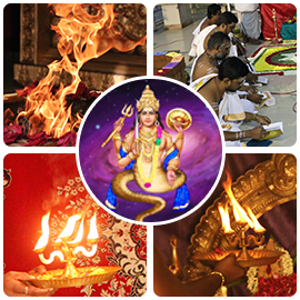 Rahu Affliction Removal Basic Package