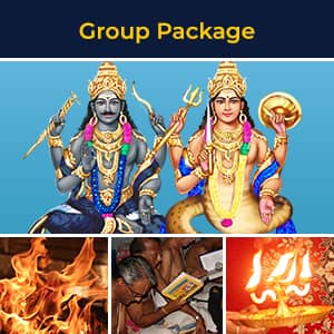 Rahu-Saturn Affliction Removal Program Group Package