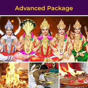 z5-Planet Stellium In Libra Advanced Package