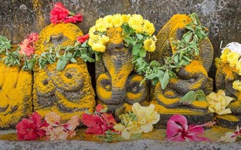 Ashlesha Bali (Snake Pacifier Ritual)