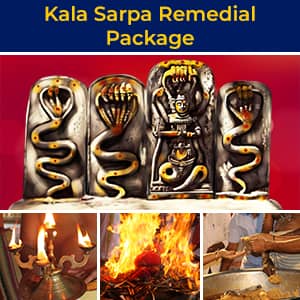 Kala Sarpa Remedial Package