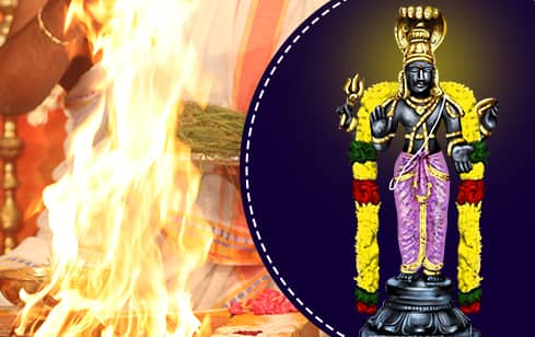 2-Priest Individual Ketu Homa (Ketu Planetary Blessings Fire Lab)