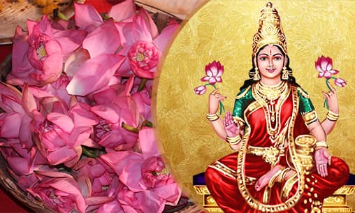 Lotus Mala (Lotus Garland) Offering to Mahalakshmi & Maha Vishnu at Powerspot