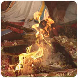 Homa Herbs Sponsorship