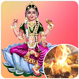 Dr. Pillai’s Siddha’s Secretive Goddess Bala Ceremonies | Goddess ...