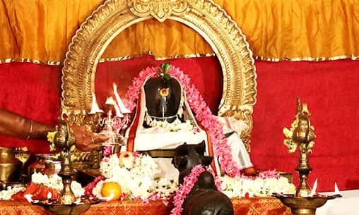 Archana (Pooja) at Jada Theertha with Abishekam (Hydration Ceremony) & Archana (Pooja) at Jada Magudeshwar Powerspot