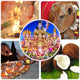 Vedic New Year Advanced Package