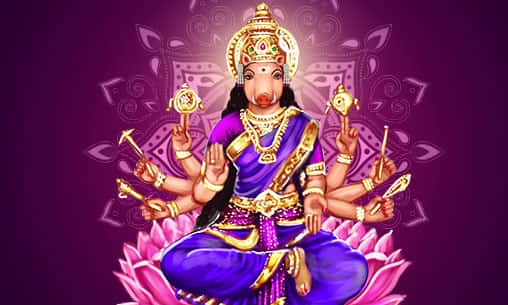 Theertha Abishekam (Hydration Ceremony) With 8 Sacred Herbs and Archana (Pooja) to Varahi by Varahi Channel