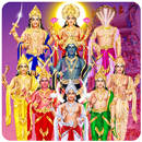 Navagraha Remedy Trip