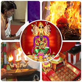 Wealth Recovery Basic Package