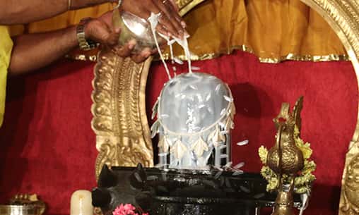 Sponsoring Milk Abishekam Sponsoring Milk Abishekam