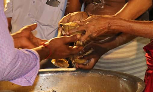 Food Feeding at Thiruvannamalai Powerspot on Chitra Purnima Day