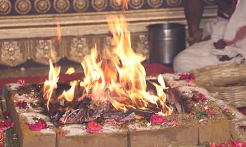 3-Priest Nilapataka Fire Lab for Status & Trade Success (Ekadasi Tithi)