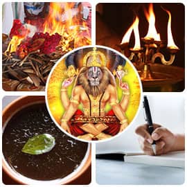 Nava Narasimha Services Advanced Package Nava Narasimha Services Advanced Package